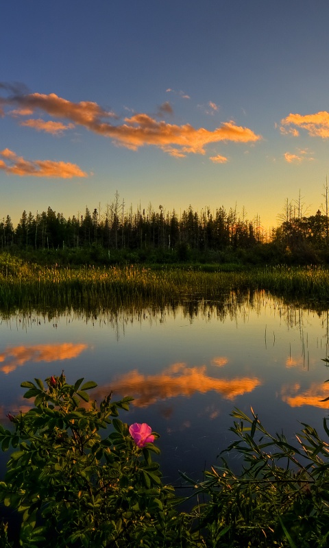 Вечерний закат обои