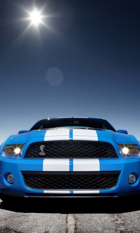 Форд Шелби обои