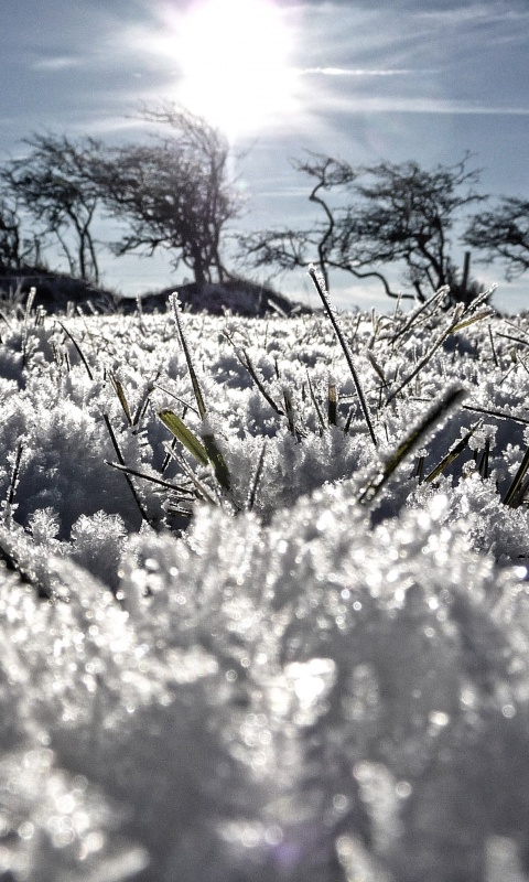 Утренний мороз обои