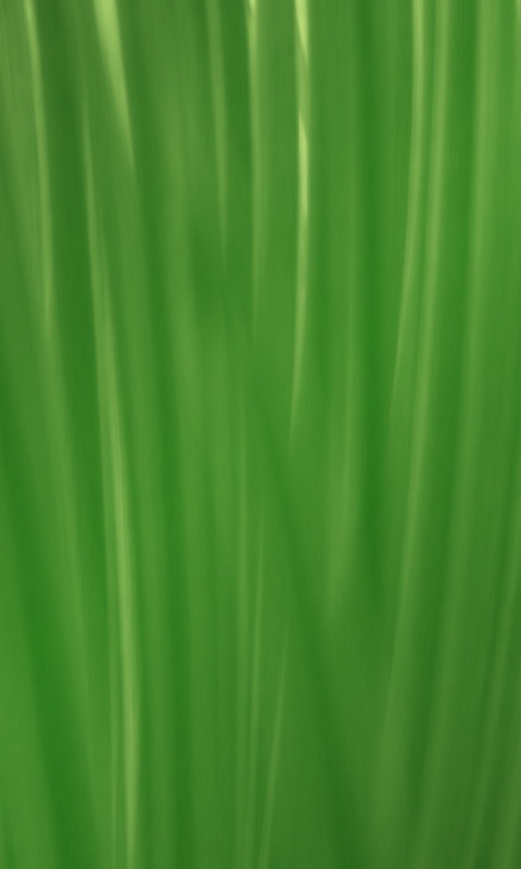 Абстрактная трава обои