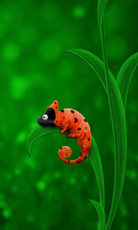 Хамелеон  замаскированный под божью коровку обои