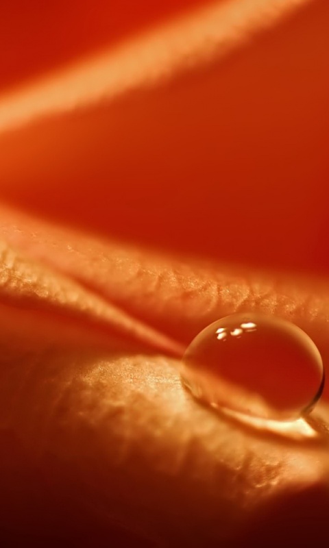 Капелька обои