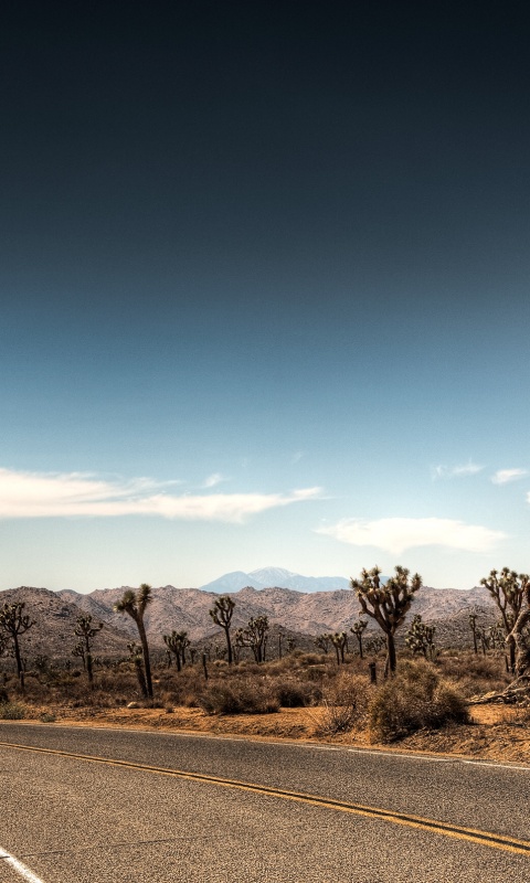 Поворот обои