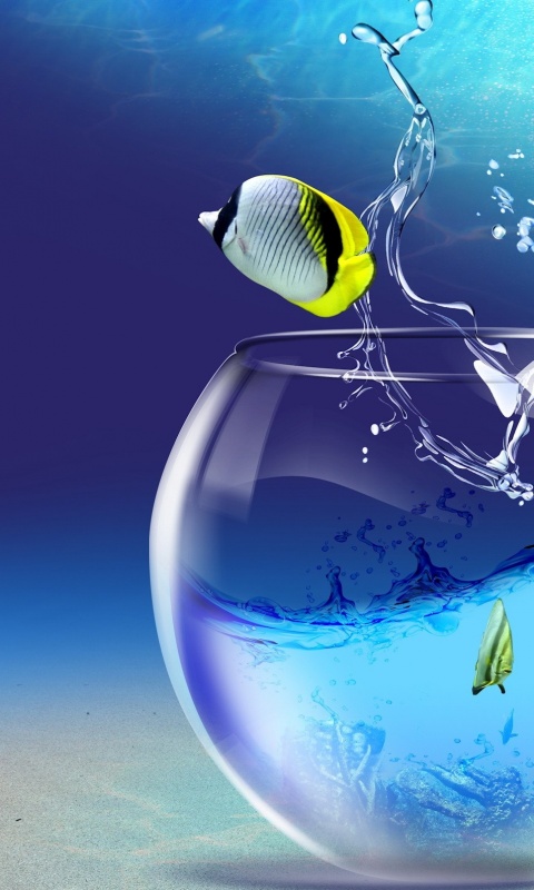 Аквариум с рыбками обои