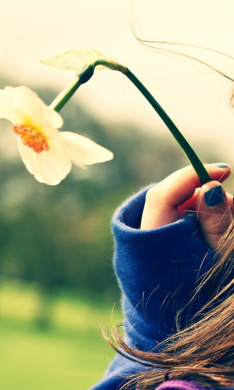 Девушка с нарциссом в руке обои