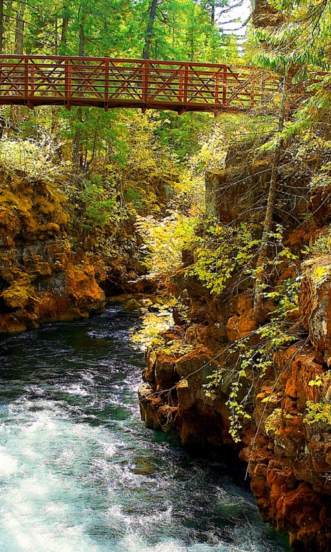 Мостик через реку в лесу обои