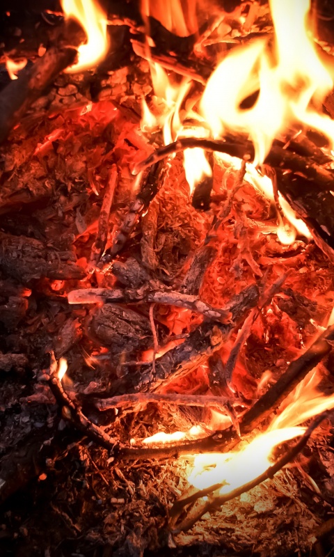 Костёр крупным планом обои