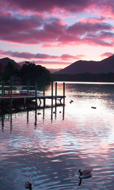 Причал на озере и утки обои