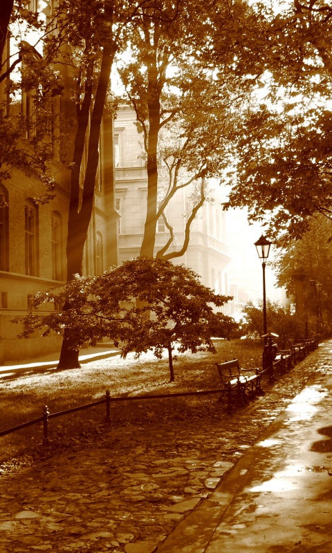 Аллея у здания обои