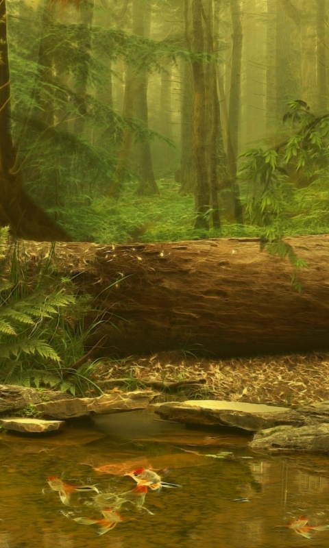 Лесной пейзаж обои