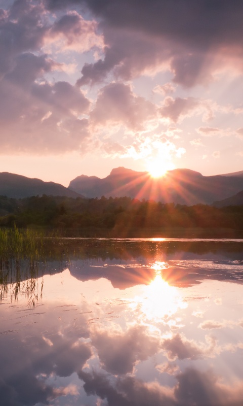 Закат за лесом обои
