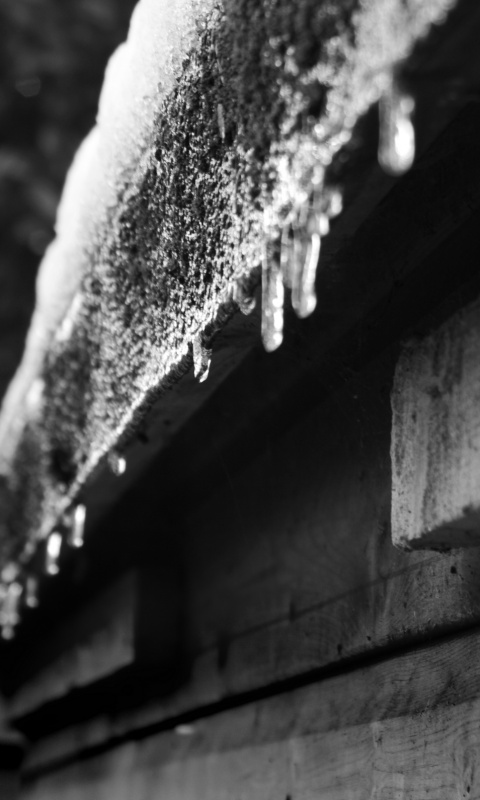 Весенняя капель обои