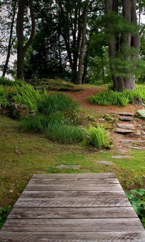 Лесные тропы обои