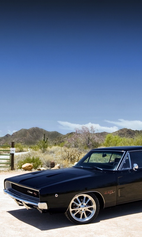 Мускулкар под палящим солнцем обои