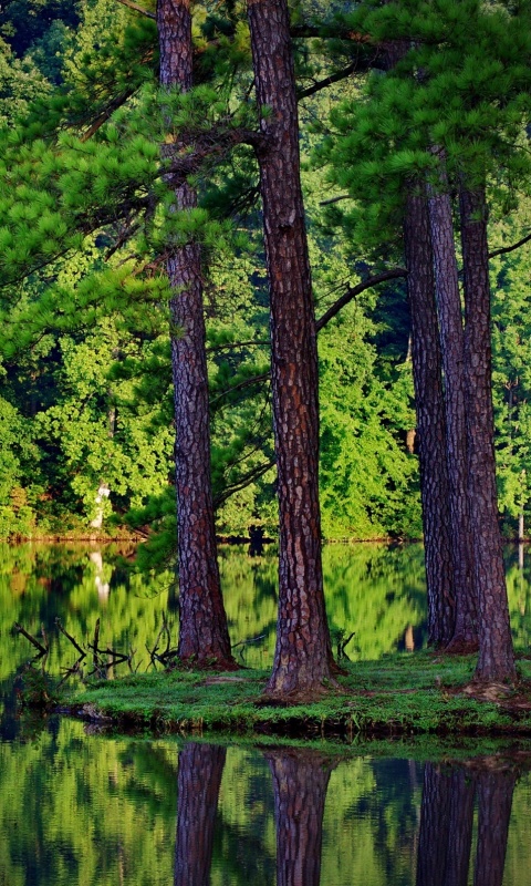 Островок посреди озера обои