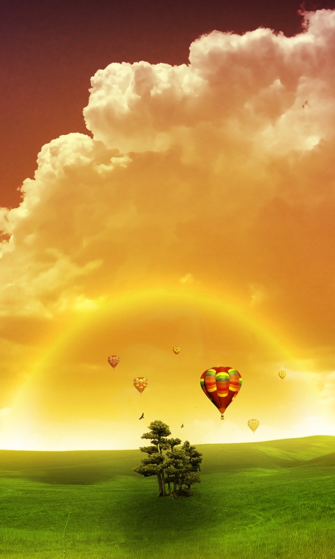 Мечты о полёте обои