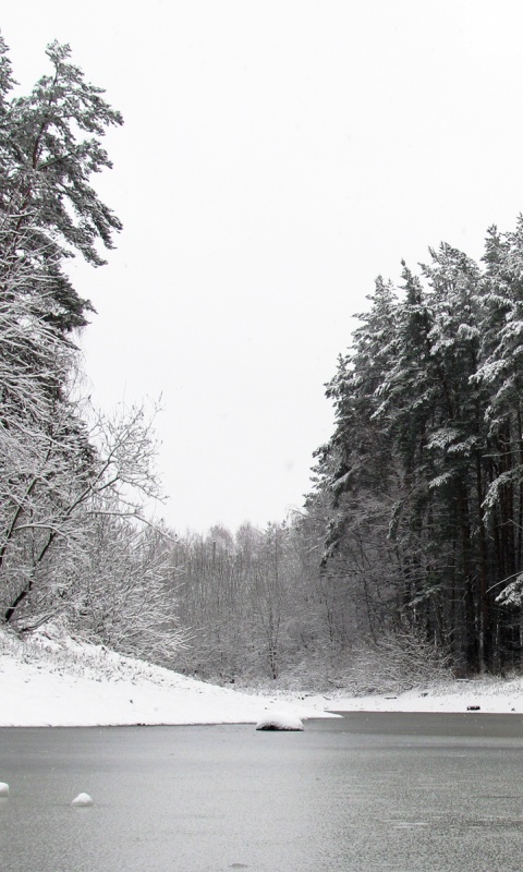 Зимняя дорога обои