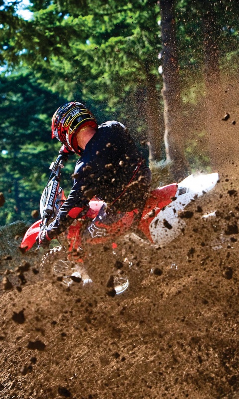 Моторалли обои