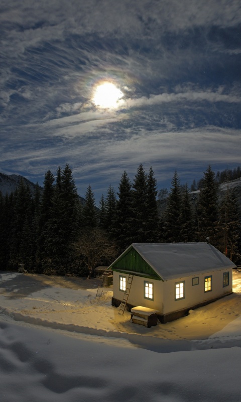 Один в зимнем лесу обои