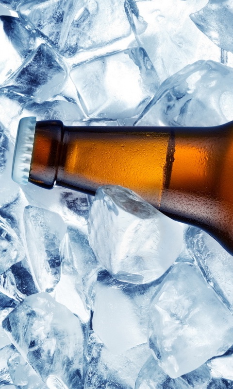 Бутылка пива во льду обои