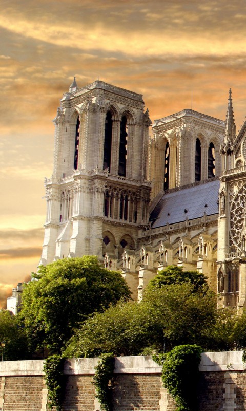 Собор парижской Богоматери обои