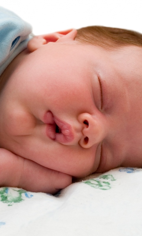 Спящая прелесть обои