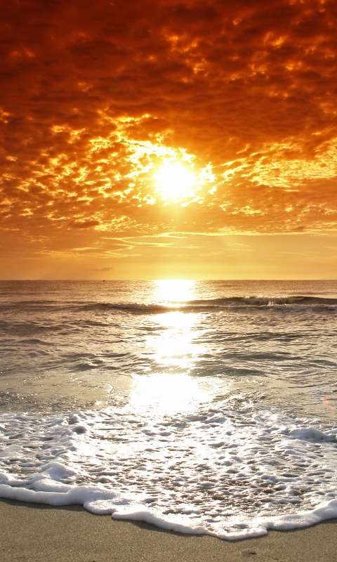 Берег моря в лучах заката обои