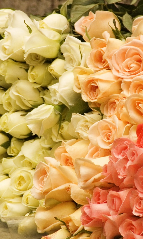Букеты светлых роз обои