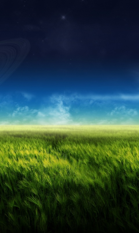 Луг на другой планете обои