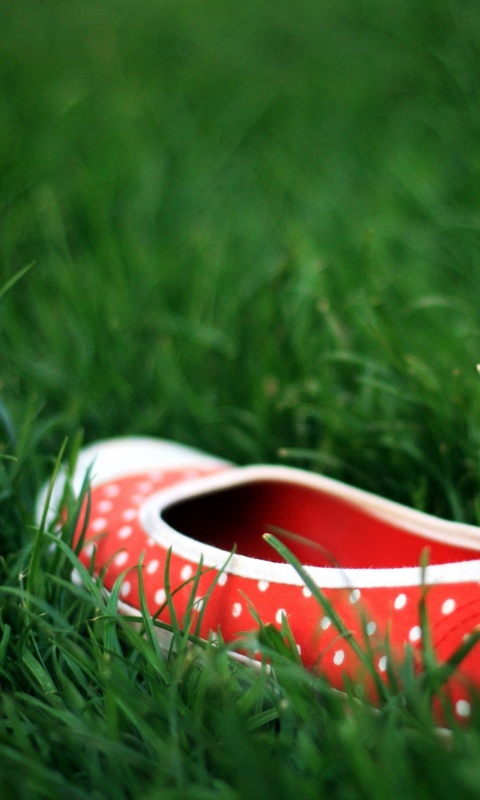 Красные тапки в горошек обои