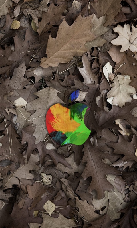 Яблоко в листьях обои