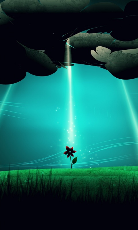 Свет для цветов обои