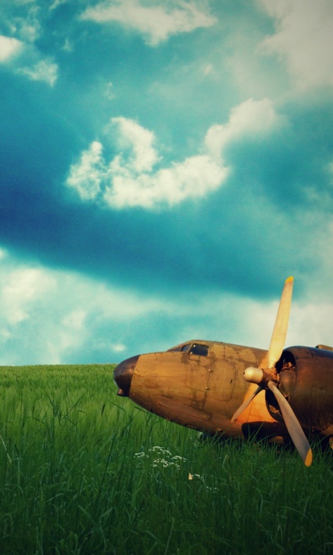 Старый ржавый самолет на лугу обои