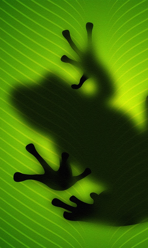 Силуэт лягушки просвечивает сквозь зеленый лист обои