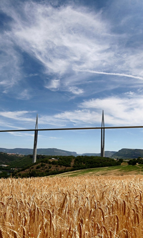 Мост над долиной обои