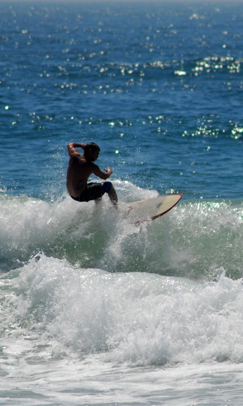 Сёрфенгист поймал волну обои