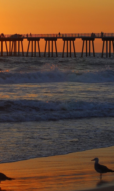 Морская терасса обои