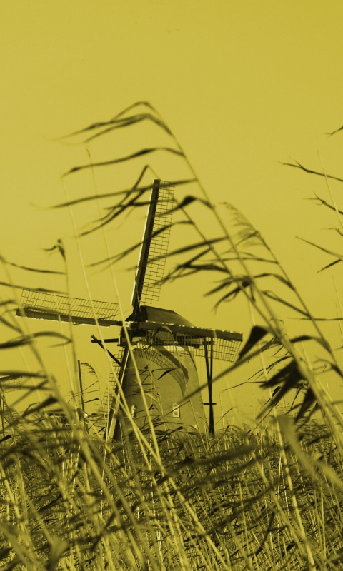 Мельницы обои