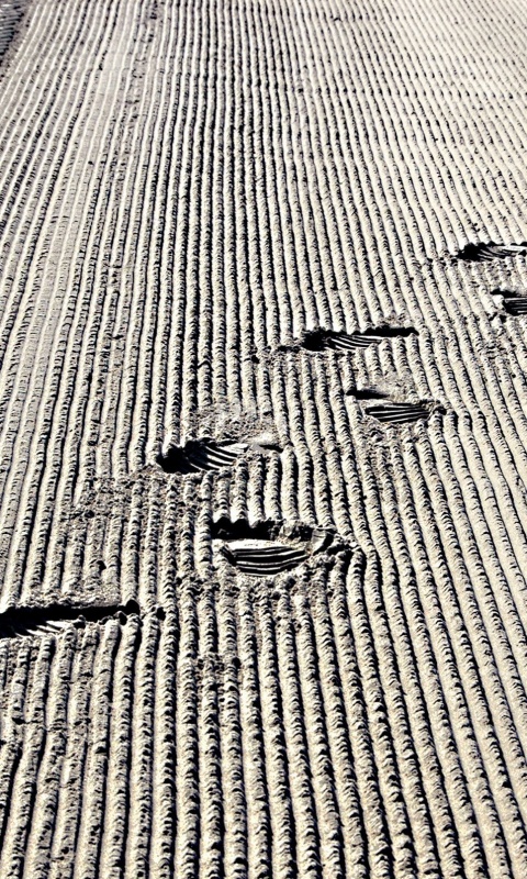 Следы на песке обои