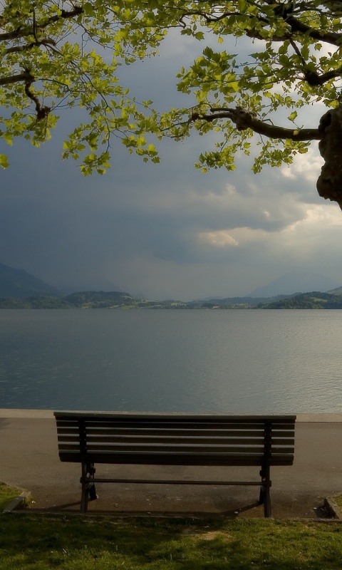 Скамейка на берегу обои