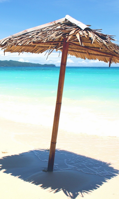 Тросниковый зонт обои