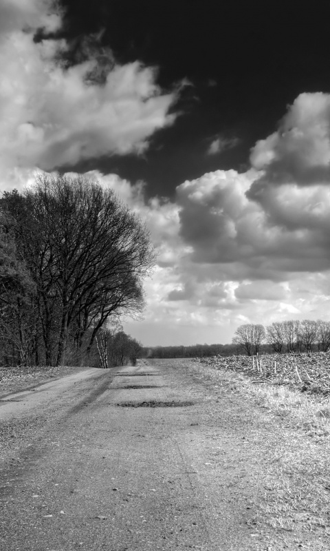 Дорога через поле обои