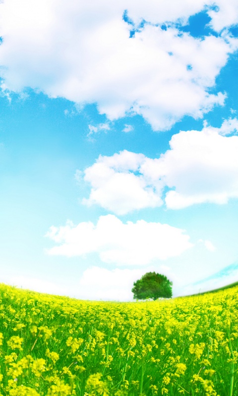 Искаженный мир обои