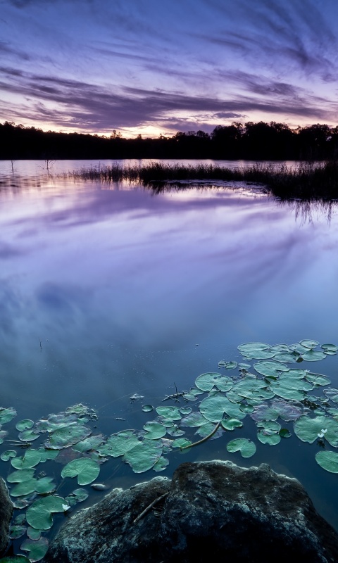 Озеро поздним вечером обои