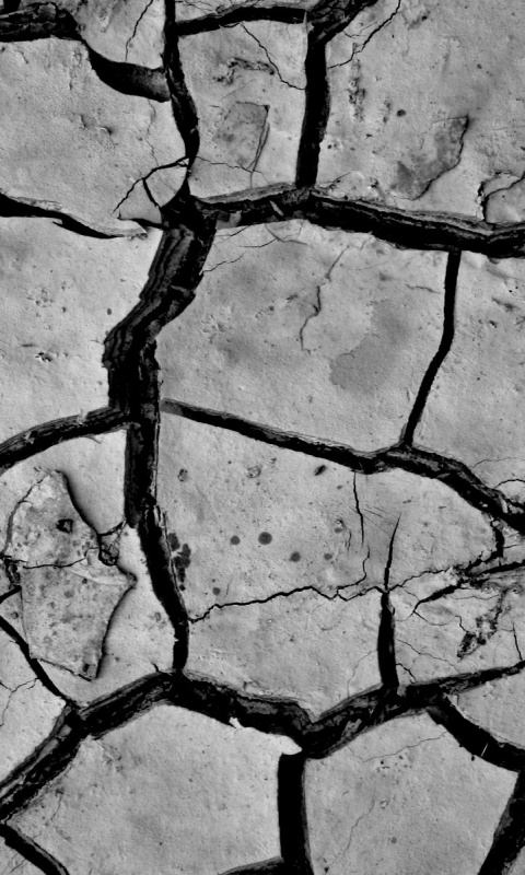 Сухая растрескавшаяся глина обои