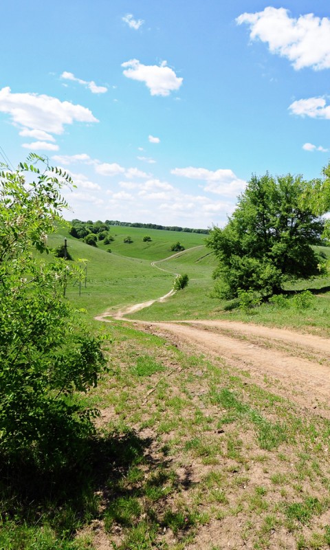 Просёлочная дорога обои