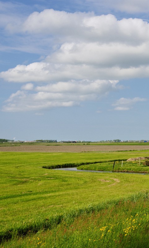 дом на лугу обои