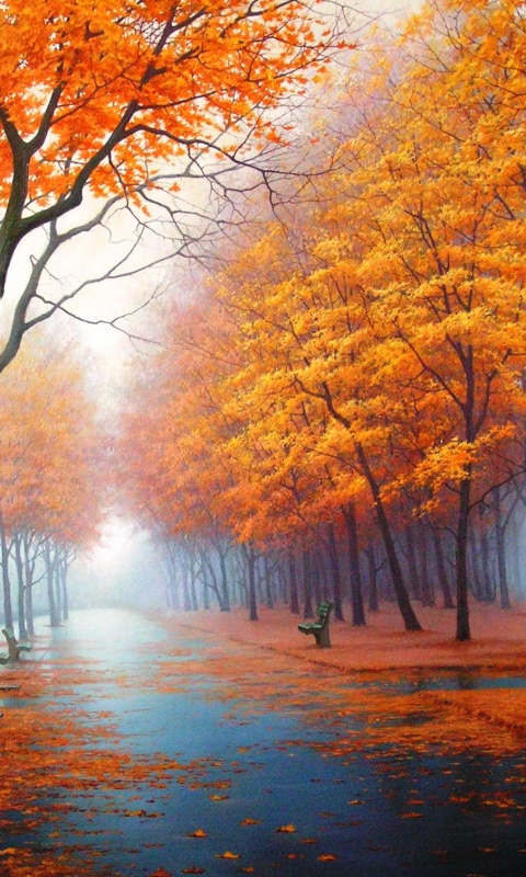 Дорога в осень обои