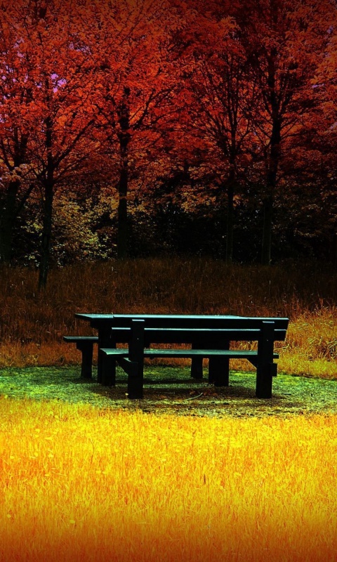 Осенние краски обои