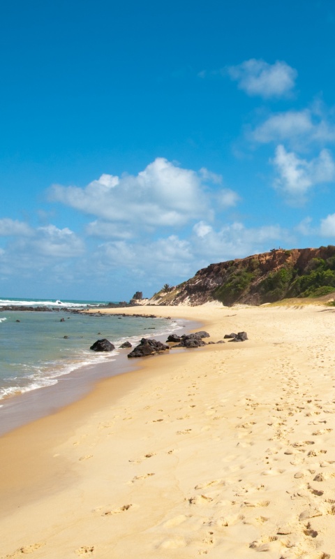 Туры в Бразилию в Лондрину обои
